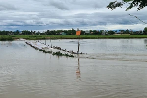 Mưa lớn làm vỡ đập tạm ngăn mặn trên sông Vĩnh Điện