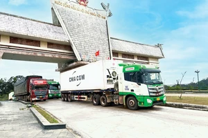 Quảng Nam đề nghị nâng cấp, mở rộng Quốc lộ 14D theo hình thức BOT