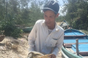 Ngư dân Phan Văn Vương đưa cá thể rùa về lại biển