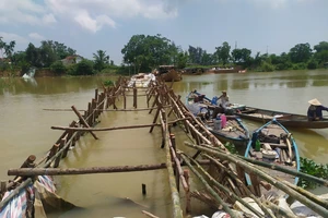 Quảng Nam: Dùng cát nạo vét sông Cổ Cò để đắp đập ngăn mặn trên sông Vĩnh Điện