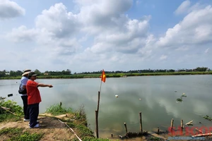 Quảng Nam: Hàng chục ngàn hộ dân lo lúa mất mùa vì thiếu nước tưới