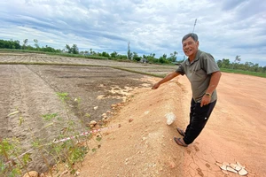 Quảng Nam: Thi công khu tái định cư san lấp luôn phần ruộng liền kề 
