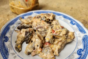 Thêm 2 vụ ngộ độc sau khi ăn cá ủ chua ở Quảng Nam