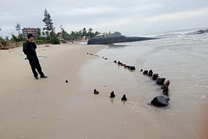 Phát hiện xác tàu cổ tại bãi biển Hội An