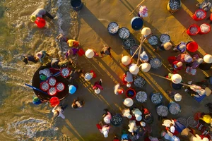 Vẻ đẹp hoang sơ của chợ cá Tam Tiến (Quảng Nam)