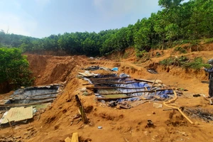 Tỉnh ủy Quảng Nam yêu cầu xử lý tình trạng khai thác vàng trái phép trên địa bàn