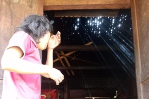 Quảng Nam: Xuất hiện mưa đá tại huyện miền núi Tây Giang