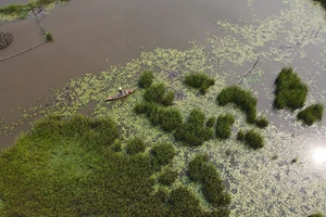 Hồ Sông Đầm đang phải đối diện với sự suy giảm đa dạng sinh học