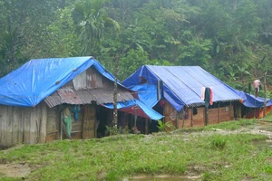 Bí thư Tỉnh ủy Quảng Nam viết thư kêu gọi ủng hộ chương trình hỗ trợ xóa 10.400 nhà tạm, nhà dột nát 