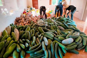 Người dân Quảng Trị góp rau, củ, quả gửi tặng người dân TPHCM