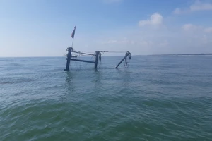 Quảng Trị: Tàu đánh cá bốc cháy trên biển, 5 thuyền viên thoát nạn