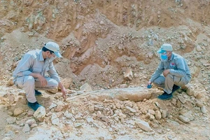 Đội xử lý bom mìn lưu động tiến hành kiểm tra bom MK-82 được phát hiện tại xã Húc (huyện Hướng Hóa, tỉnh Quảng Trị) 