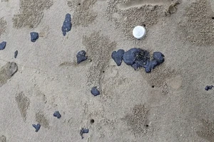 Quảng Trị: Thu gom, xử lý dầu vón cục trôi dạt vào bờ biển