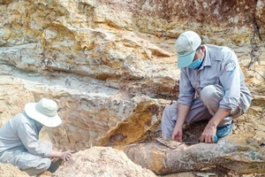 Quả bom được phát hiện tại bờ sông Sê Pôn (huyện Hướng Hóa, tỉnh Quảng Trị) gần khu vực biên giới Việt Nam – Lào
