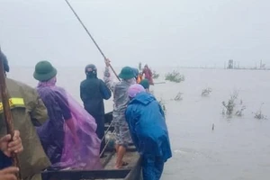 Quảng Trị: Tìm thấy thi thể người phụ nữ mất tích do mưa lũ