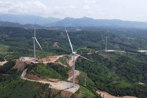 Quảng Trị đề nghị bổ sung dự án điện gió ngoài khơi đảo Cồn Cỏ vào quy hoạch điện VIII