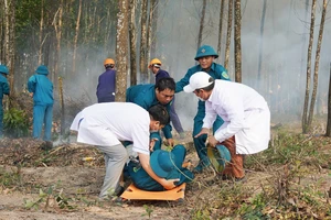 Hơn 300 người tham gia thực tập phòng chống cháy rừng ở Quảng Trị