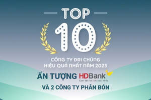 TOP 10 công ty đại chúng hiệu quả nhất năm 2023: Ấn tượng HDBank, Đạm Phú Mỹ và Hóa chất Đức Giang