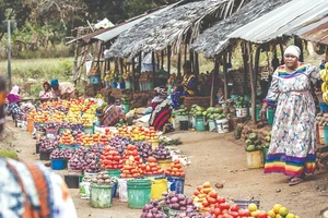 Thực phẩm hôm nay, năng lượng ngày mai