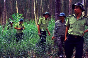 Lực lượng kiểm lâm Hậu Giang đi tuần tra ở Lung Ngọc Hoàng 