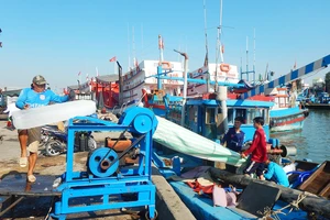 Giá nhiên liệu tăng nhưng nhờ chủ động thích ứng, hoạt động khai thác hải sản của ngư dân tỉnh Bình Thuận vẫn đạt hiệu quả