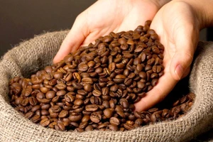 Doanh thu xuất khẩu cà phê của Brazil đạt 5,2 tỷ USD