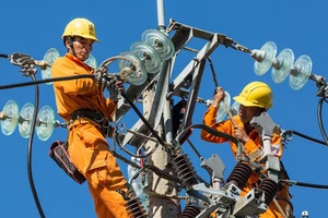 Đồng Nai: Dự án hạ ngầm lưới điện đạt khoảng 19% đường dây