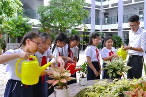 Chăm sóc mảng xanh tại Trường Tiểu học Hồ Văn Huê, quận Phú Nhuận, TPHCM