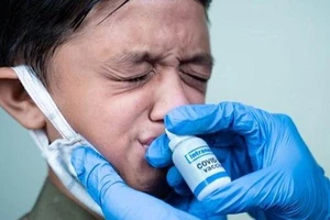 Australia phát triển vaccine Covid-19 dạng nhỏ mũi