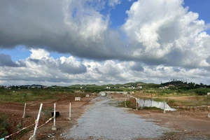Quảng Ngãi: Xử lý doanh nghiệp tự ý lấp ruộng lúa làm dự án bất động sản