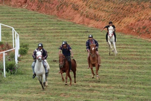 Giải đua ngựa không yên lần đầu được tổ chức tại huyện Lạc Dương. Ảnh: ĐOÀN KIÊN