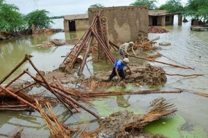 Thủ tướng Pakistan kêu gọi viện trợ giúp nạn nhân lũ lụt