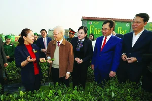 Tổng Bí thu Nguyễn Phú Trọng thăm vườn chè của Hợp tác xã Hảo Đạt, TP Thái Nguyên. Ảnh: TTXVN