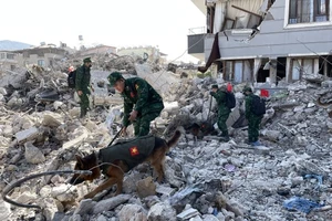 Lực lượng cứu hộ, cứu nạn QĐND Việt Nam tham gia công tác cứu hộ cứu nạn động đất tại Thổ Nhĩ Kỳ. Ảnh: BQP