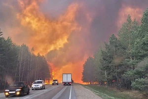 Nga: Cháy rừng gây thiệt hại lớn tại tỉnh Kurgan 