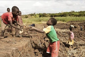 UNICEF: Suy dinh dưỡng đe dọa hơn nửa triệu trẻ em Malawi