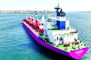 Tàu chở ngũ cốc theo thỏa thuận Sáng kiến Ngũ cốc Biển Đen neo đậu tại Thổ Nhĩ Kỳ