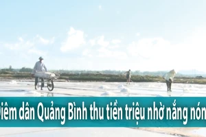 Diêm dân Quảng Bình thu tiền triệu nhờ nắng nóng