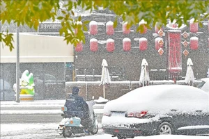 Trung Quốc đóng cửa trường học vì bão tuyết