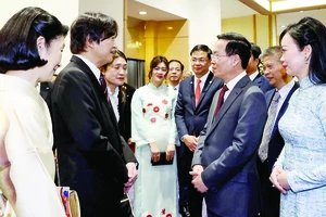 Quan hệ Việt Nam - Nhật Bản phát triển toàn diện 