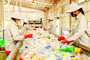 Công nhân phân loại chai nhựa đầu vào tại một trạm thu gom vệ tinh. Ảnh: PHI VÂN