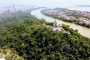 Khu rừng rộng bạt ngàn như “lá phổi” của TP Tuy Hòa, tỉnh Phú Yên