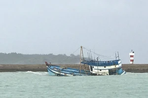 Hàng trăm tỷ đồng đầu tư khu trú bão tàu cá cấp vùng ở Bình Định
