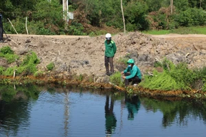 Lấy mẫu nước xả thải tại một số kênh chảy qua xã Tân Đông, huyện Thạnh Hóa 