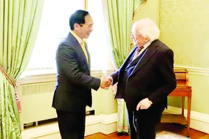 Bộ trưởng Bộ Ngoại giao Bùi Thanh Sơn tiếp kiến Tổng thống Ireland Michael D. Higgins trong chuyến thăm chính thức tới Ireland ngày 28-2-2024. Ảnh: Báo điện tử Đảng Cộng sản Việt Nam