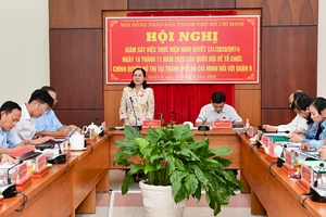 Chủ tịch HĐND TPHCM Nguyễn Thị Lệ phát biểu trong buổi giám sát tại quận 8. Ảnh: VIỆT DŨNG