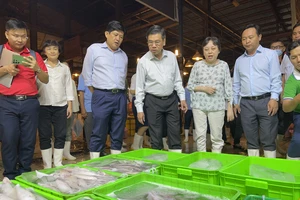 Lãnh đạo TPHCM khảo sát chợ Bình Điền trước thềm Tết Nguyên đán 