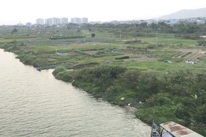 Khắc phục hư hỏng các dự án bờ hữu ven sông Sài Gòn Nam - Bắc Rạch Tra