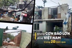 Những cơn bão lớn đổ bộ Việt Nam trong 20 năm qua