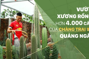 Vườn xương rồng hơn 4.000 cây của chàng trai 9X Quảng Ngãi